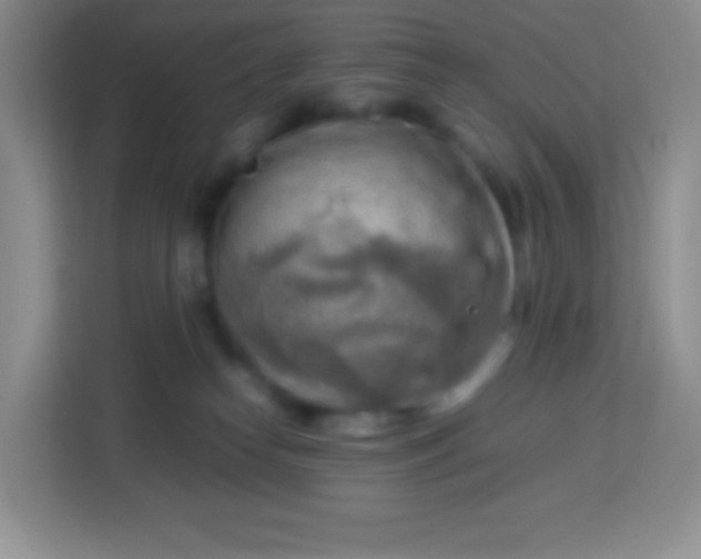 X0000113750182200910071113