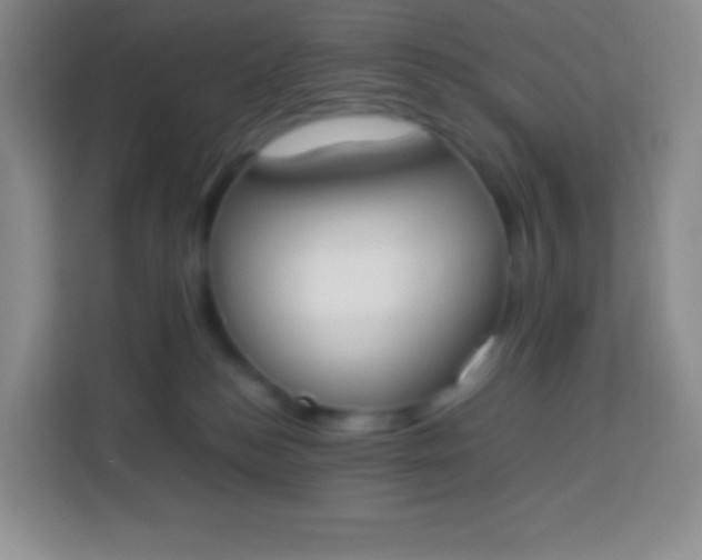 X0000113750184200910071113