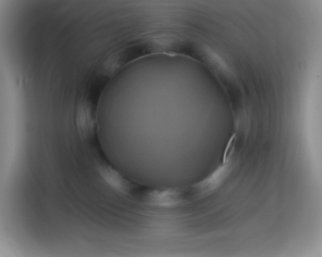 X0000113750186200910071113