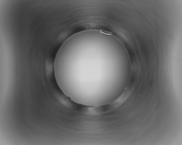 X0000113750188200910071113