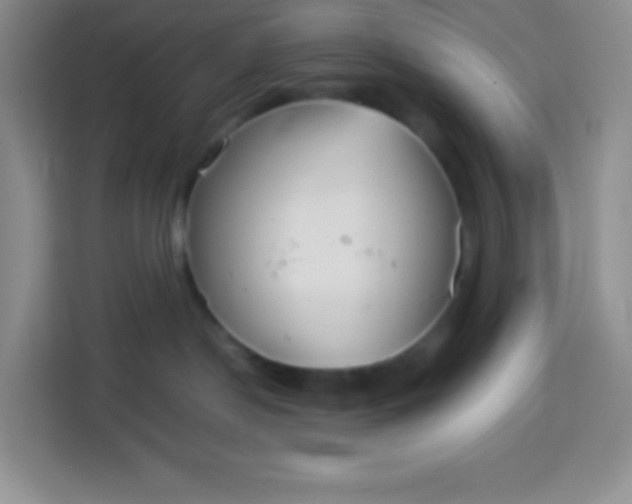 X0000113750190200910071113