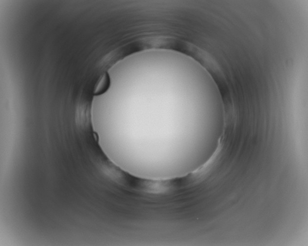 X0000113750191200910071113