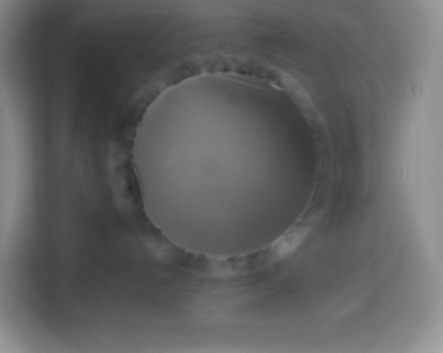 X0000113750192200910071113