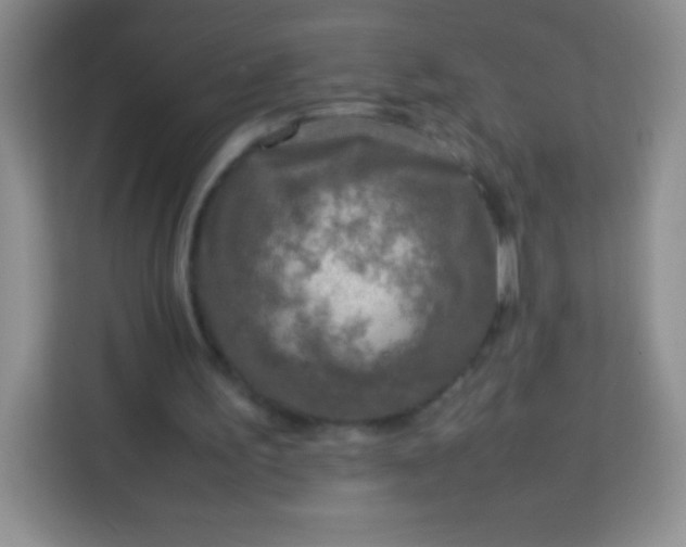 X0000113750195200910071113