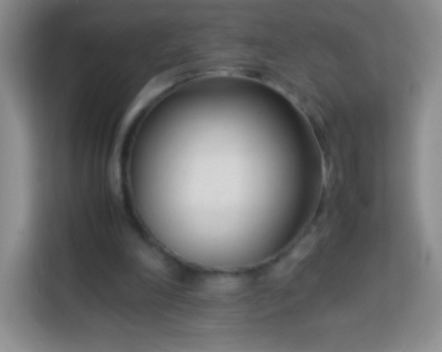 X0000113750198200910071113