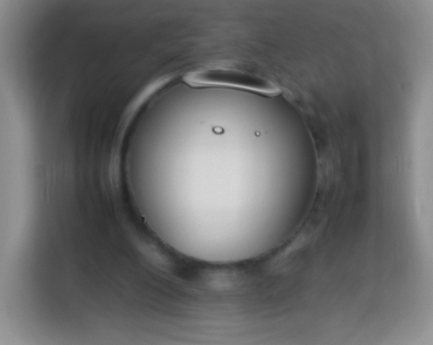 X0000113750200200910071113