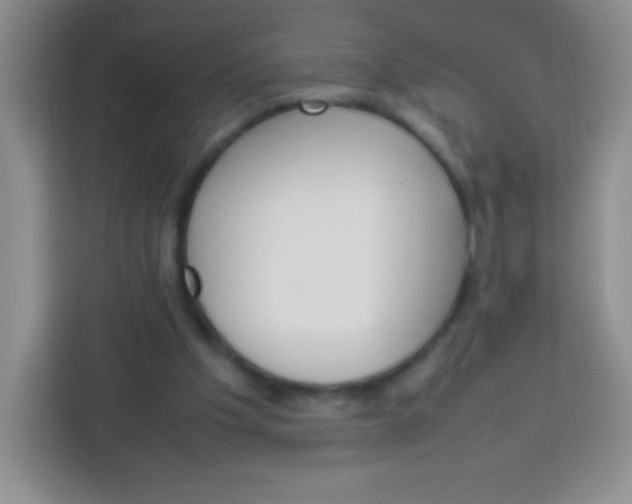 X0000113750201200910071113