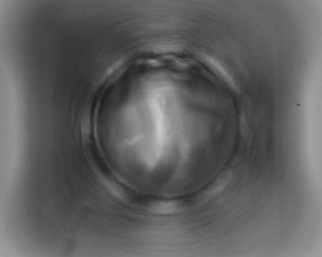 X0000113750202200910071113