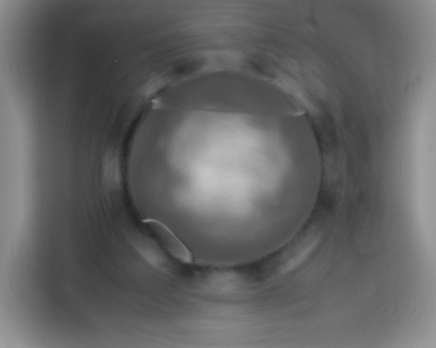 X0000113750203200910071113