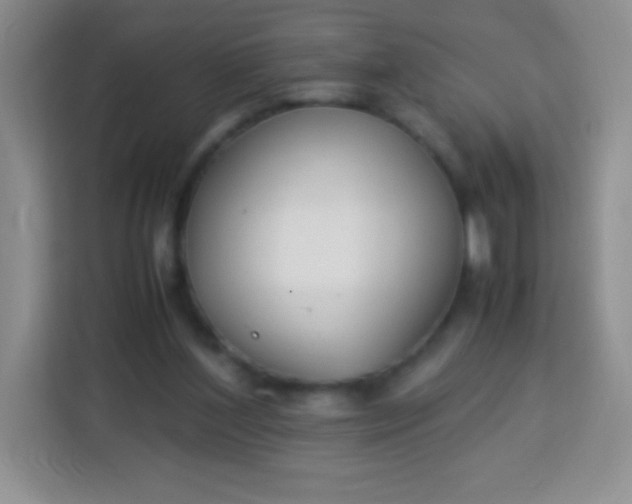 X0000113750204200910071113