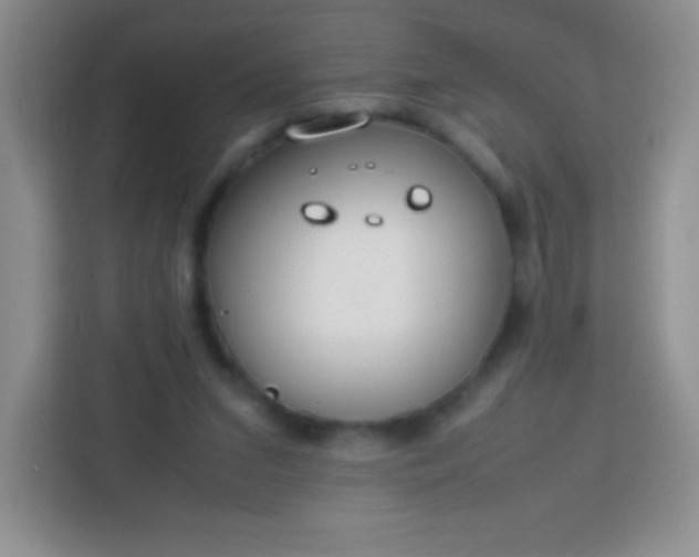 X0000113750207200910071113