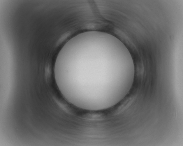 X0000113750208200910071113