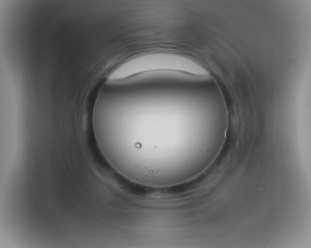 X0000113750211200910071112