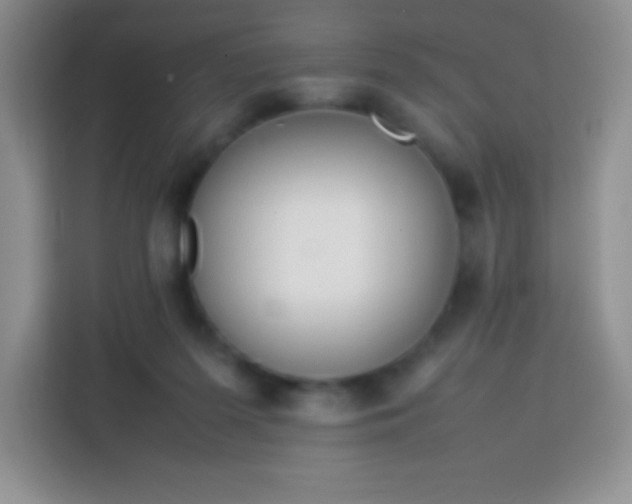 X0000113750215200910071112