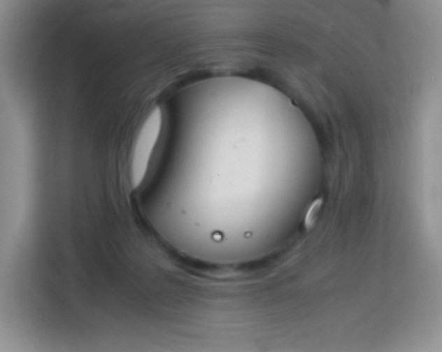 X0000113750219200910071112