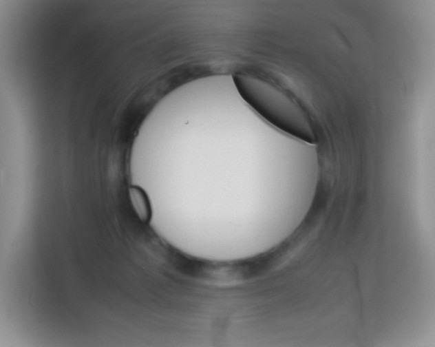 X0000113750221200910071112