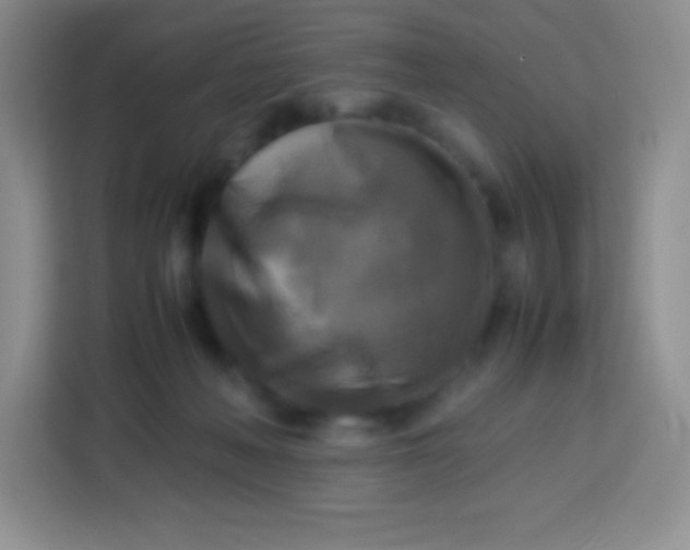 X0000113750222200910071112