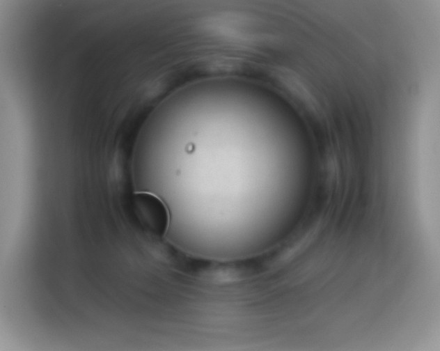 X0000113750228200910071112