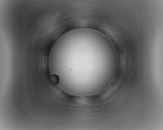 X0000113750230200910071112