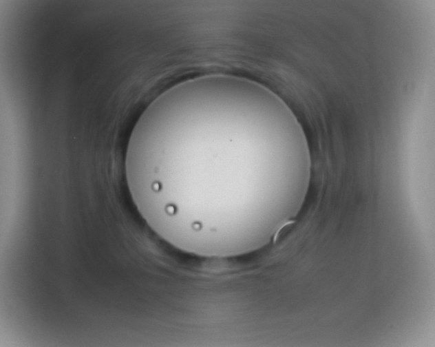 X0000113750231200910071112