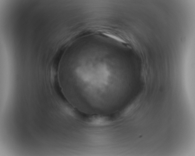 X0000113750235200910071112