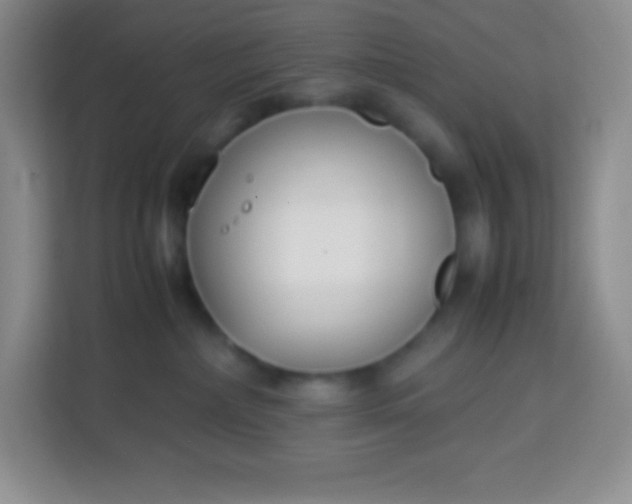 X0000113750236200910071112