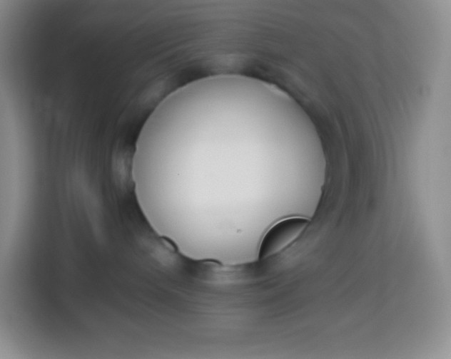 X0000113750240200910071112