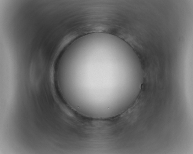 X0000113750242200910071111