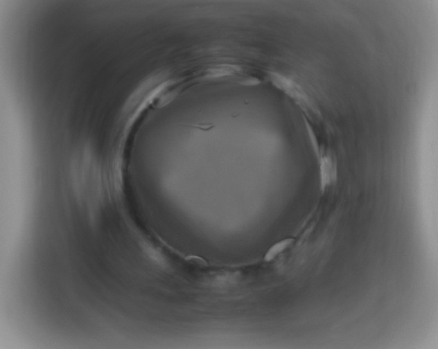 X0000113750243200910071112