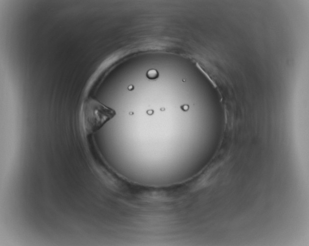 X0000113750244200910071112