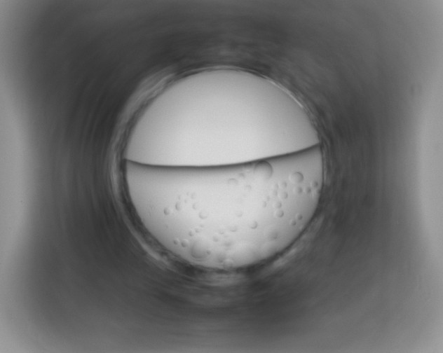 X0000113750245200910071112