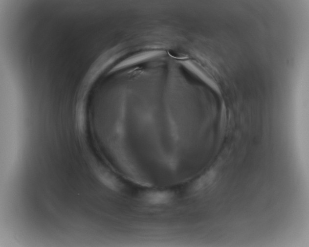 X0000113750247200910071112