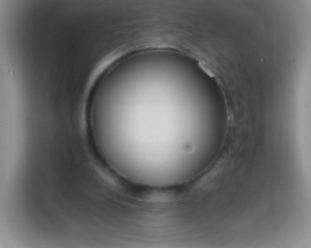 X0000113750248200910071112