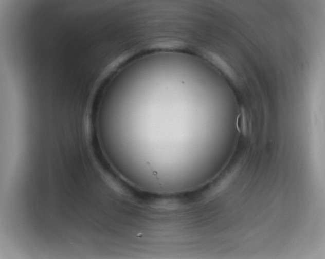 X0000113750252200910071112