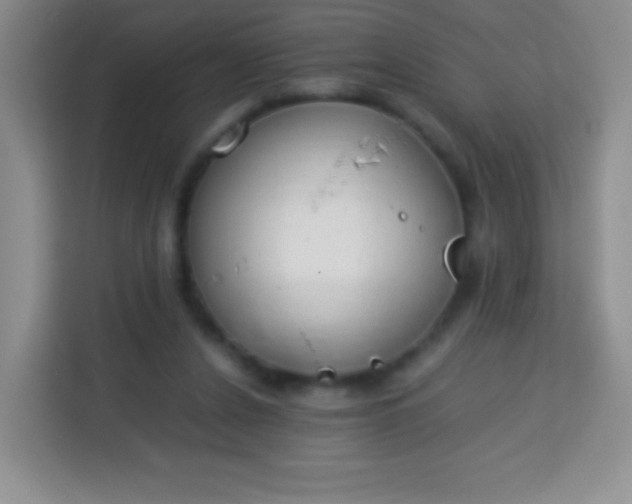 X0000113750256200910071112