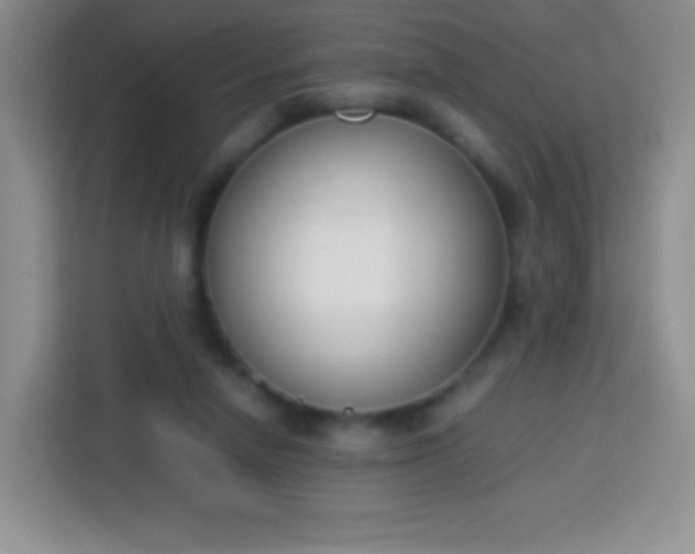 X0000113750258200910071112