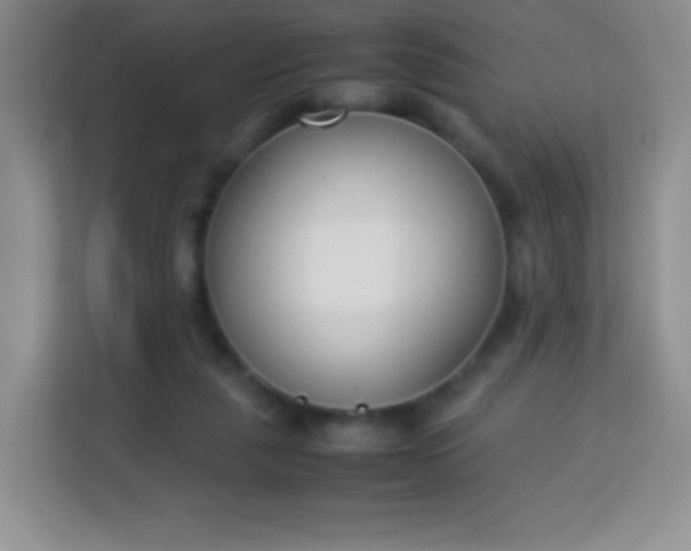 X0000113750259200910071112