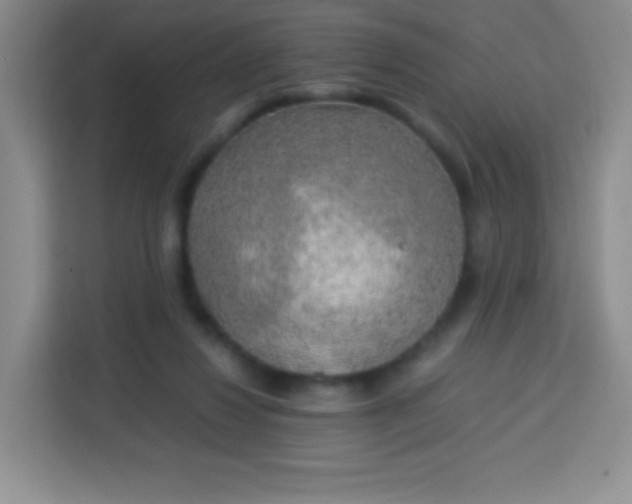 X0000113750260200910071112