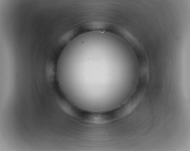 X0000113750264200910071112