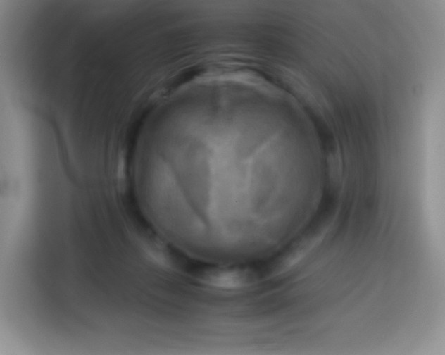 X0000113750267200910071112