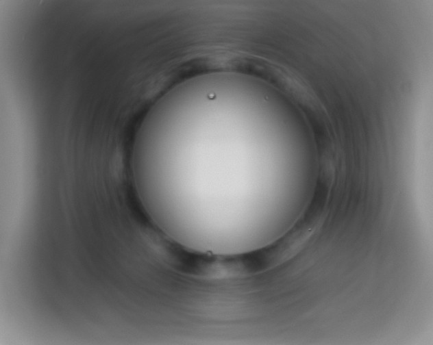 X0000113750270200910071112