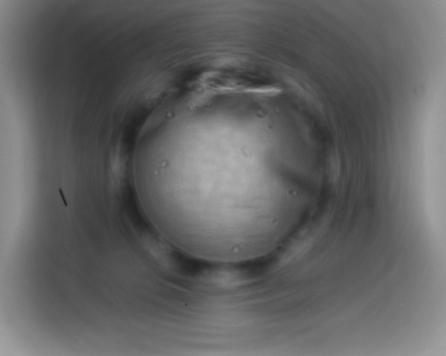 X0000113750276200910071112