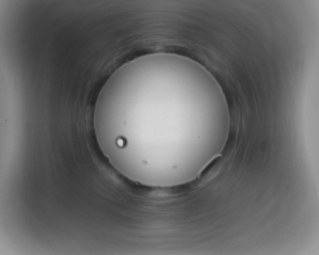 X0000113750280200910071112