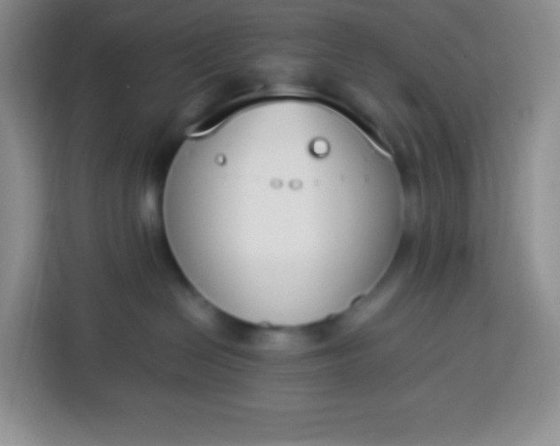 X0000113750286200910071112