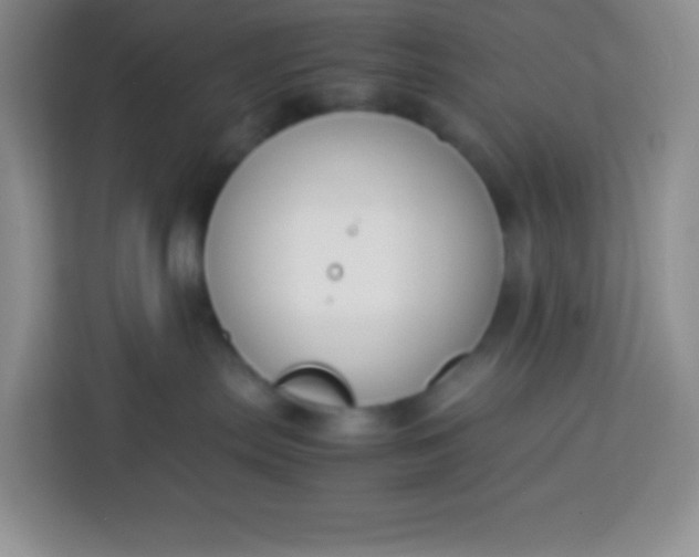 X0000113750287200910071112