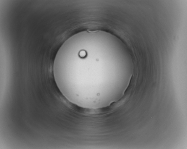 X0000113750288200910071112