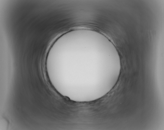 X0000113750289200910071111