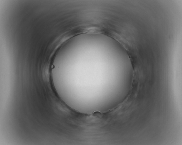 X0000113750290200910071111