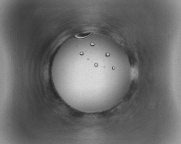 X0000113750291200910071111