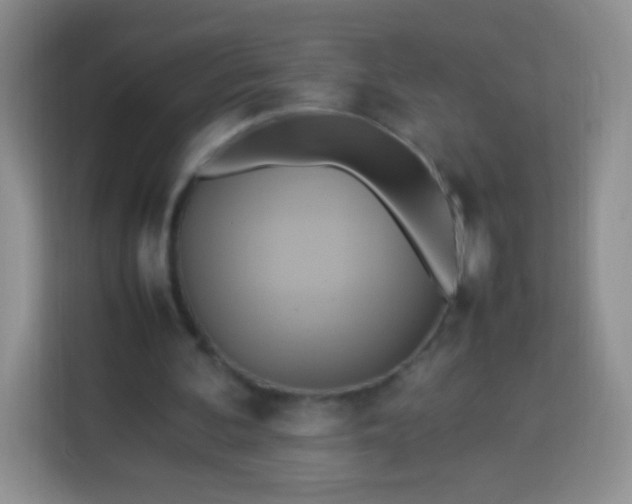 X0000113750292200910071111